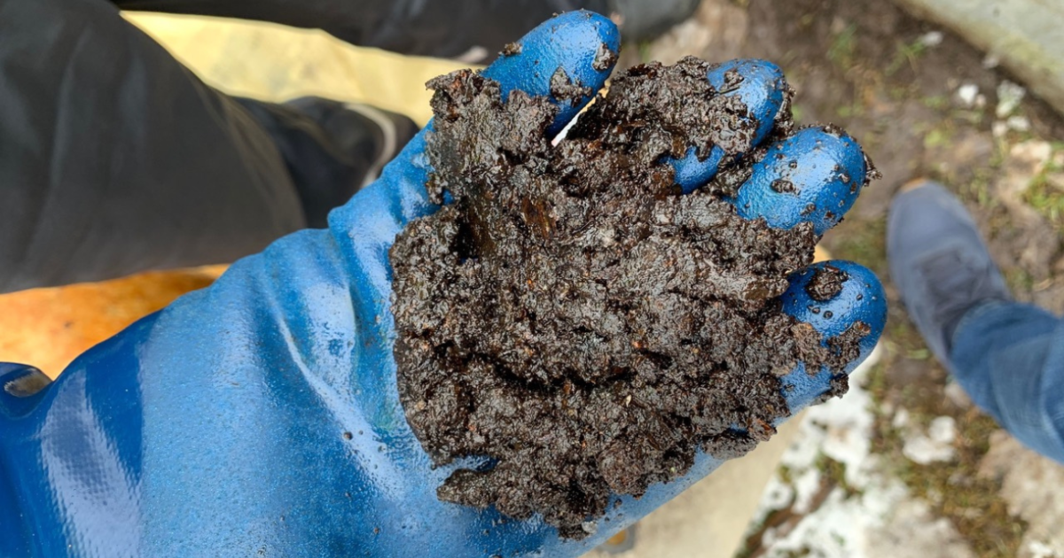 Deisel Slug The Dreaded Diesel Bug: What It Is and How to Prevent It | CTS