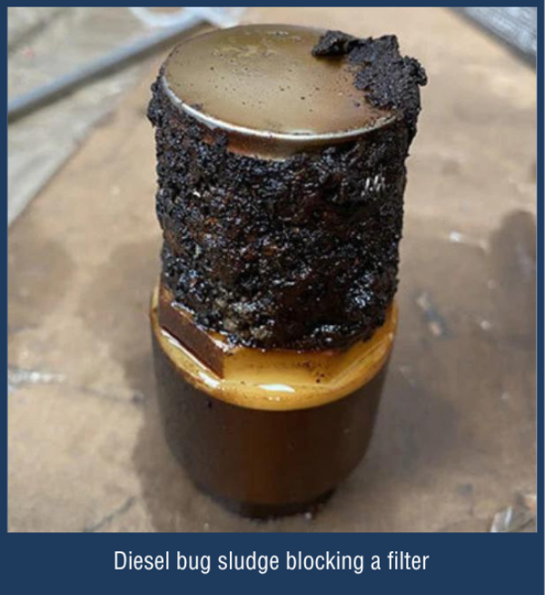 The Dreaded Diesel Bug What It Is and How to Prevent It CTS