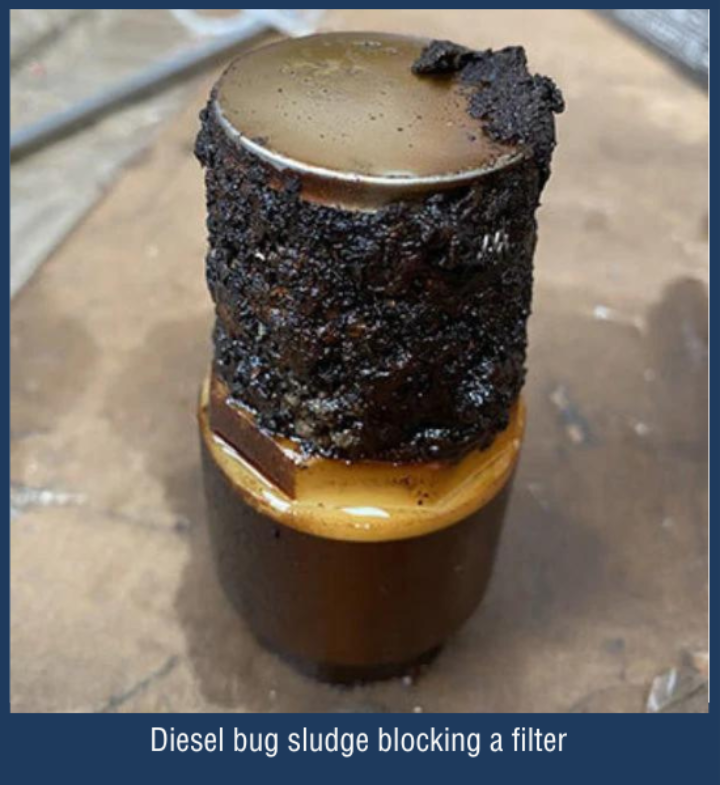 Diesel bug sludge