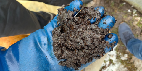 The Dreaded Diesel Bug: What It Is and How to Prevent It
