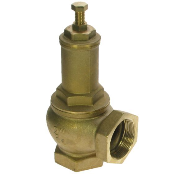 Beautiful view of Pressure-Adjustable Shoelaces For Pressure Relief