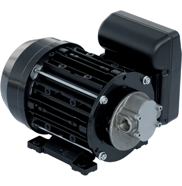 Piusi Garda Fuel Transfer Pump
